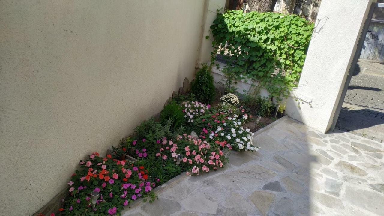 Miroom In The Heart Of بلوفديف المظهر الخارجي الصورة